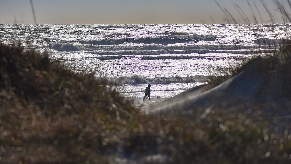 A beach walker heads west along Bogue Banks near the dune line at Fort Macon State Park in Carteret County. Photo: Dylan Ray