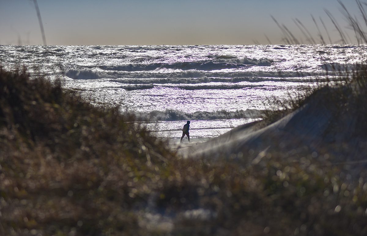 A beach walker heads west along Bogue Banks near the dune line at Fort Macon State Park in Carteret County. Photo: Dylan Ray