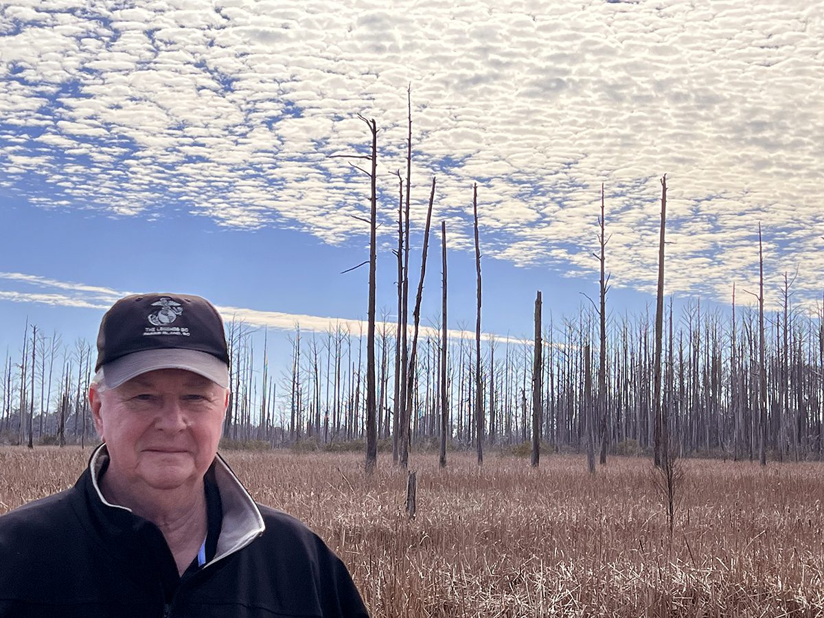 Brayton Willis is shown with a stand of ghost trees in the background at a site near the Battleship North Carolina in Wilmington. Photo provided.
