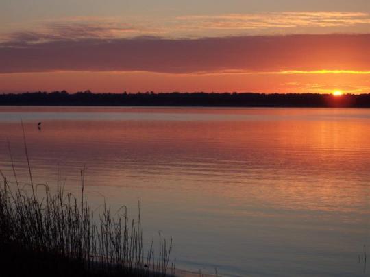 Carolina Beach State Park, shown here, is one of three coastal state parks to be awarded funding. Photo: NC State Parks