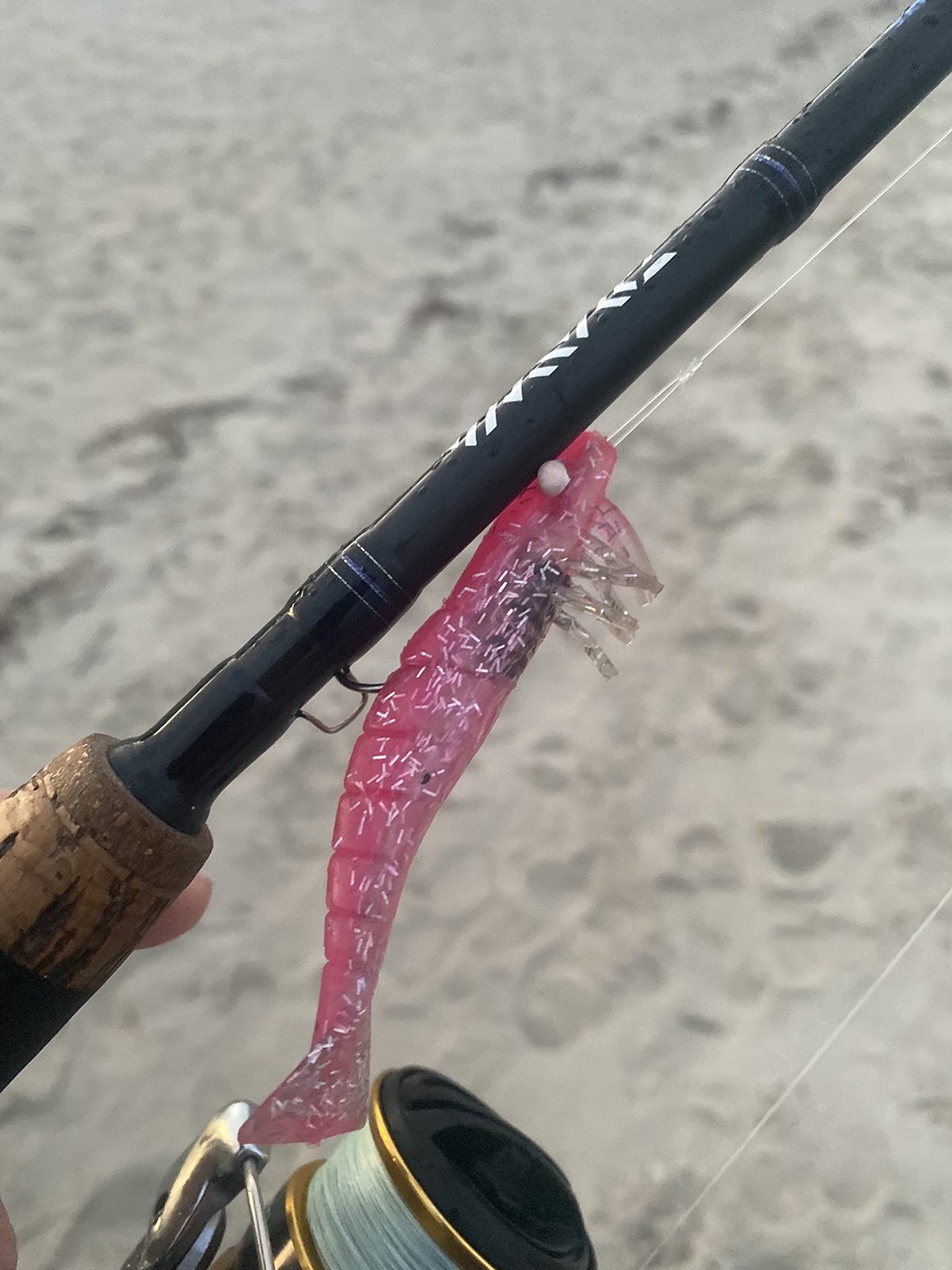 Pink shrimp are a great choice. Photo: Capt. Gordon Churchill