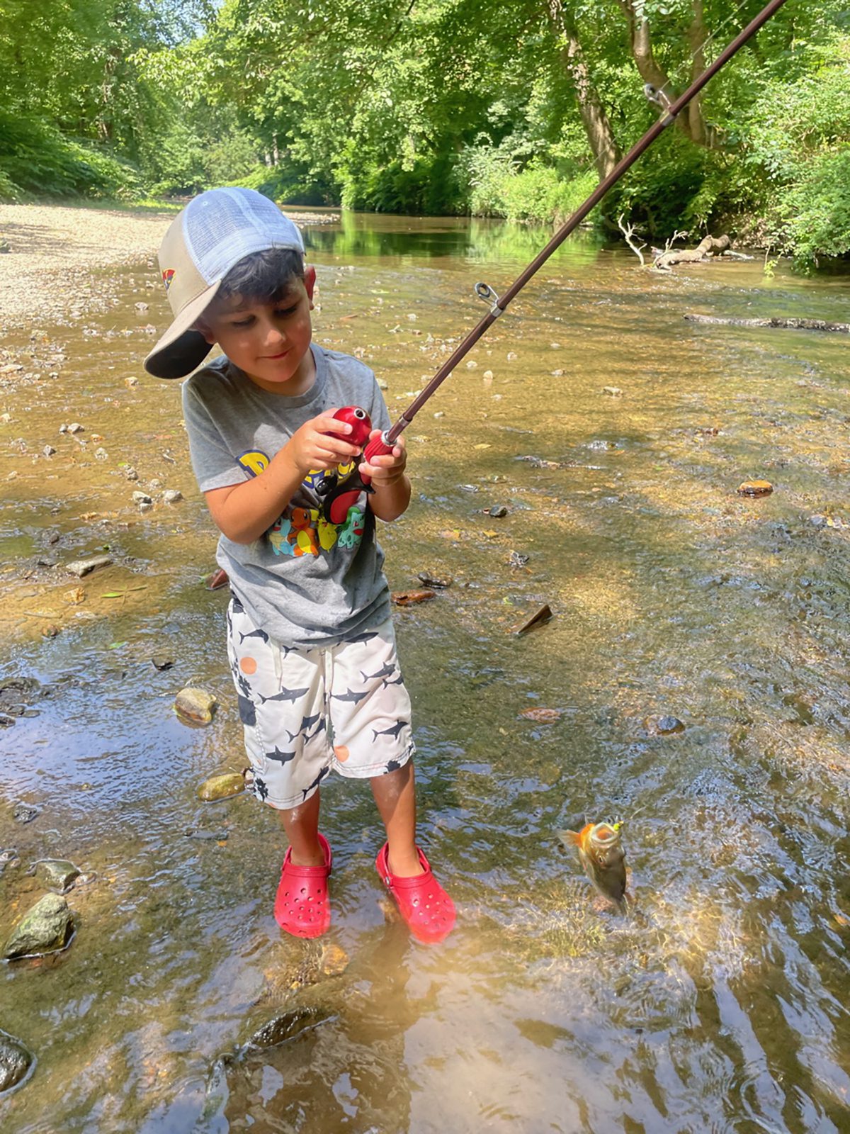 Closeup Of Fly Fishing Equipment And Basket Stock Photo, Picture