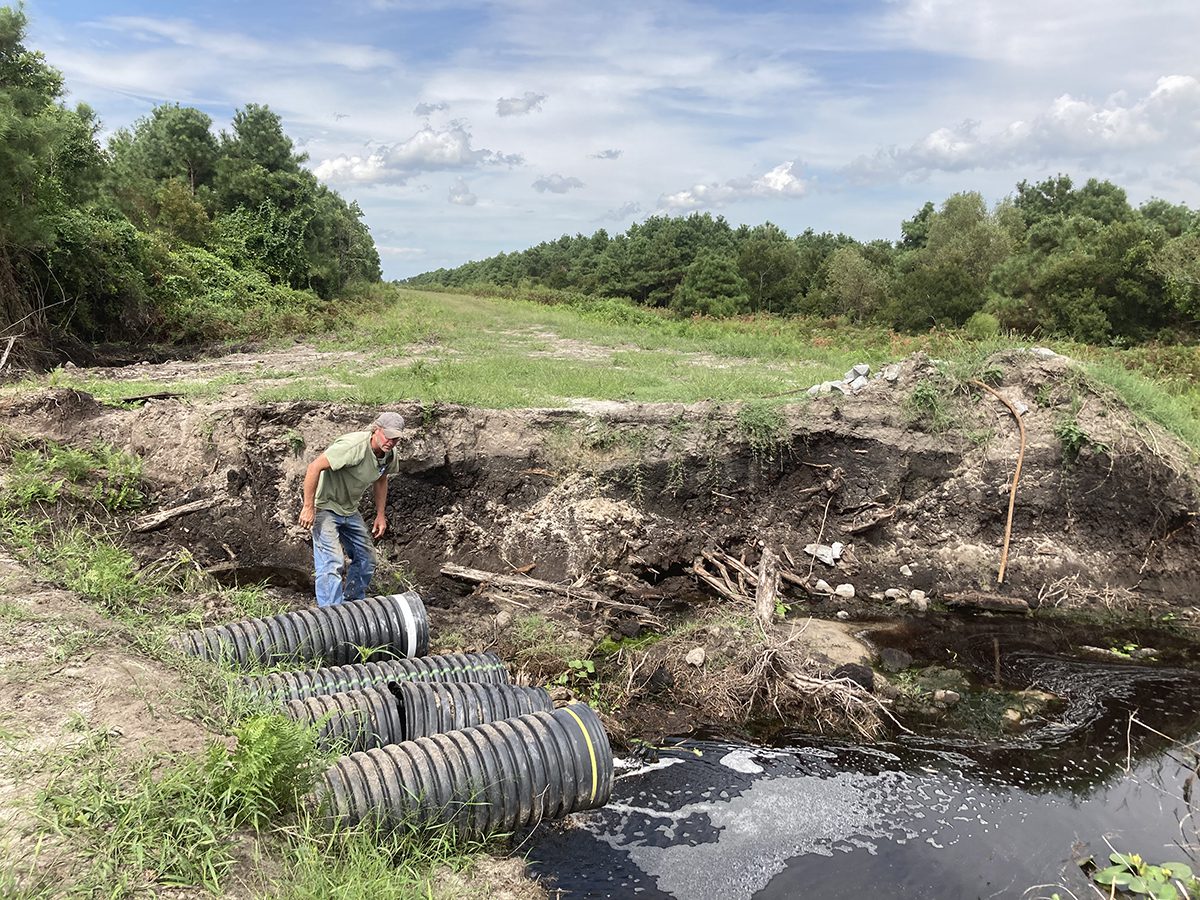 Bill Ogburn examines the water system in a canal at Carolina Ranch. Photo: Catherine Kozak