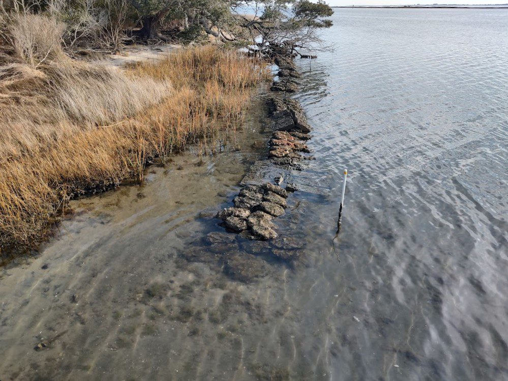 Shown is an example of a living shoreline, a nature-based solution, on Bogue Sound in Carteret County. Photo: Jennifer Allen