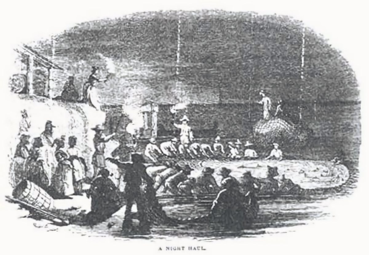 "Action at the Fisheries ca. 1850" depicts seine fishing, where “Most of the fishing was done at night with torches ablaze.” Source: Sally's Family Place