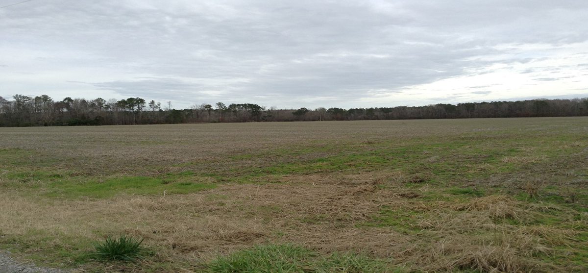 The 55.75-acre Jenkins Farm property. Photo: Coastal Land Trust