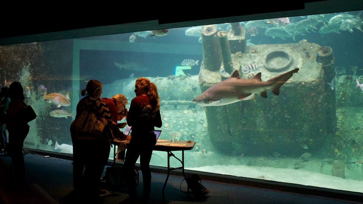 A past SciREN event in the North Carolina Aquarium at Pine Knoll Shores. Photo: SciREN
