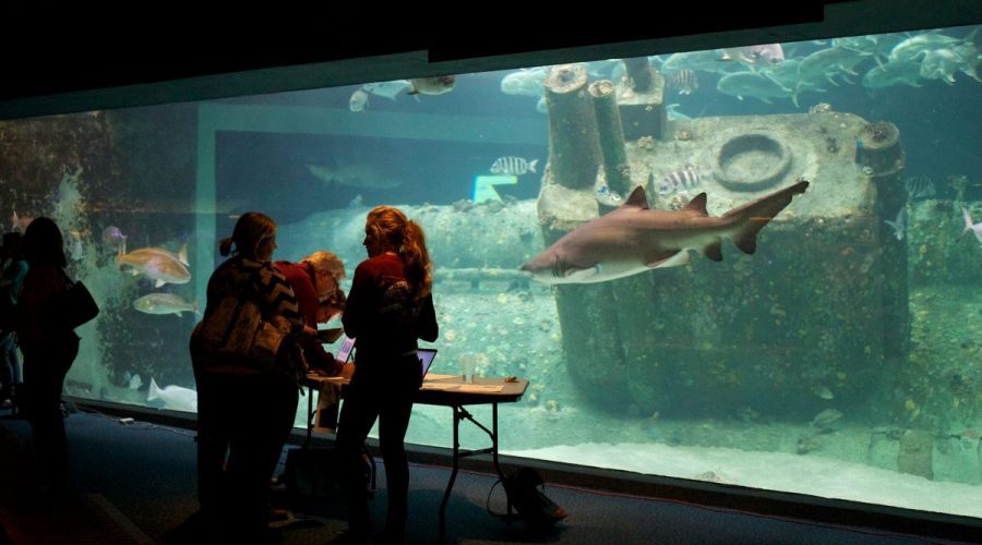 A past SciREN event in the North Carolina Aquarium at Pine Knoll Shores. Photo: SciREN