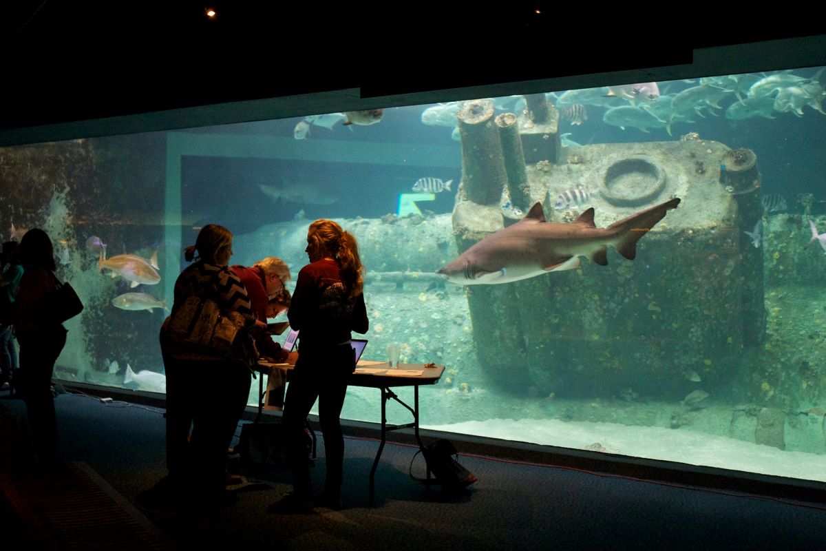 A past SciREN event in the North Carolina Aquarium at Pine Knoll Shores. Photo: SciREN