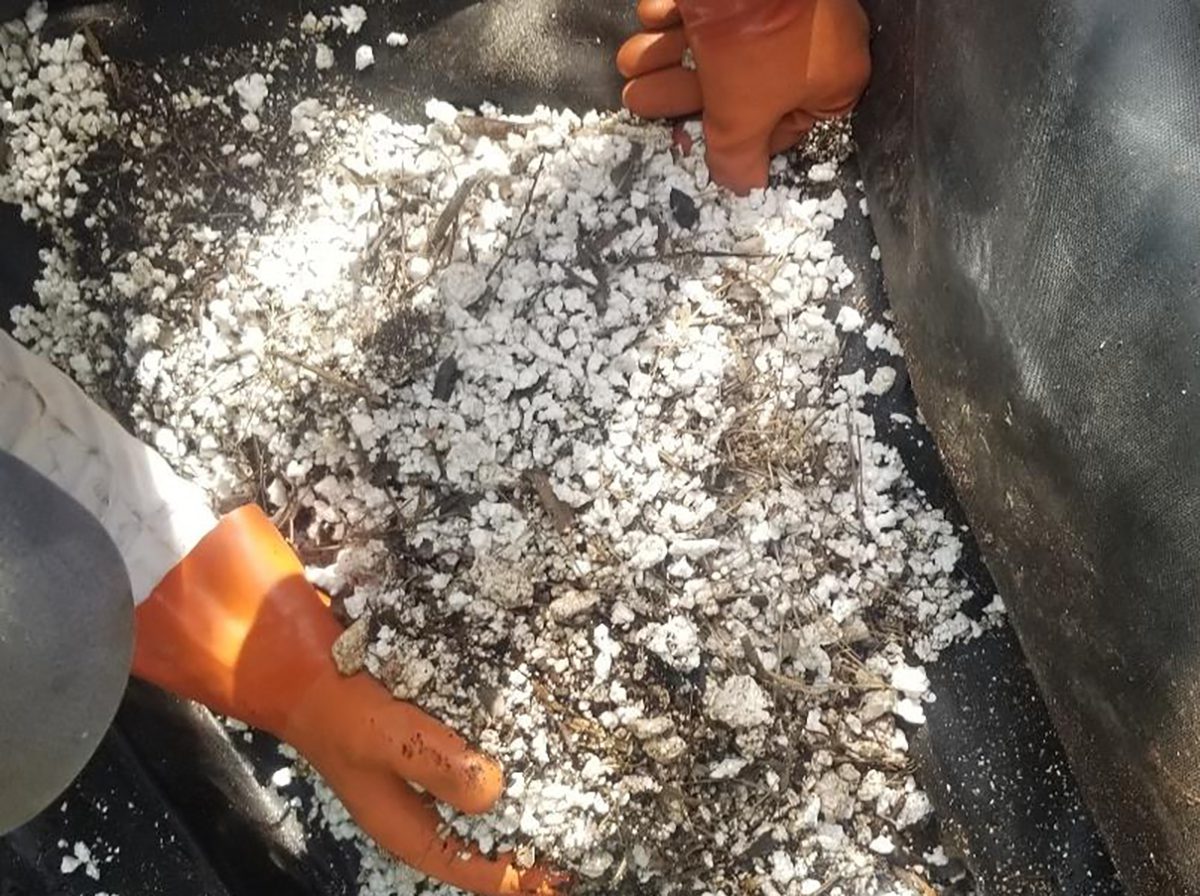 Unencapsulated polystyrene, a type of foam used in the construction of residential docks and piers, after it breaks down in the environment. Photo: North Carolina Coastal Federation