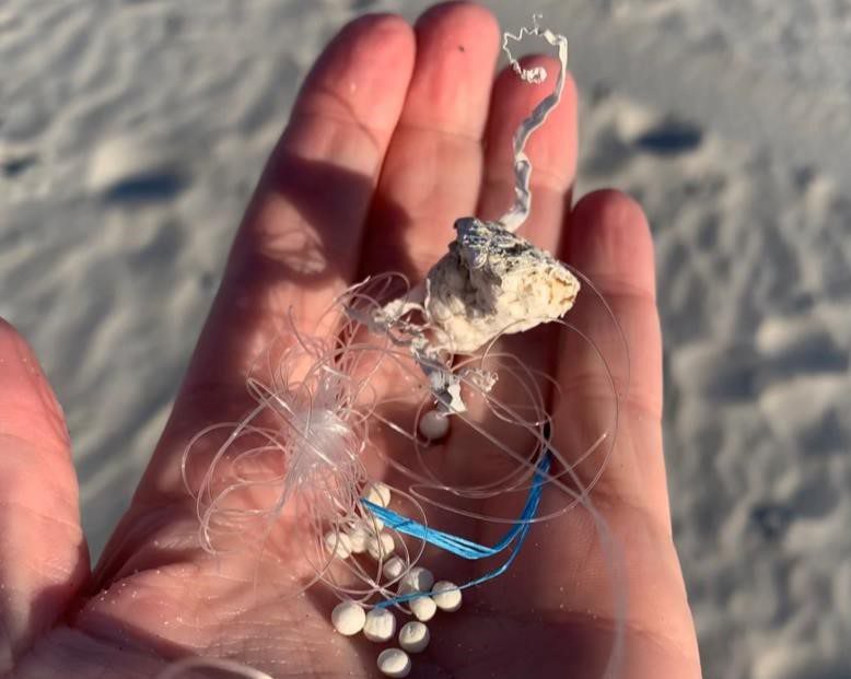 Examples of microplastics. Photo: North Carolina Coastal Federation