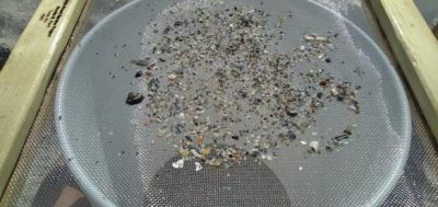 Mesh used to separate microplastics from sand. Photo: North Carolina Coastal Federation