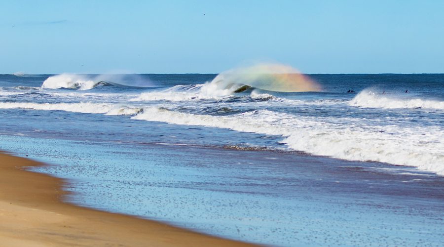 A rainbow appears in the spray of a breaking wave Jan. 26 off Hatteras Island, near Buxton. West winds blow the spray offshore behind the wave, and the water droplets scatter the sunlight, allowing surfers and onlookers to see the full visible spectrum of color from certain angles. Photo: Corinne Saunders
