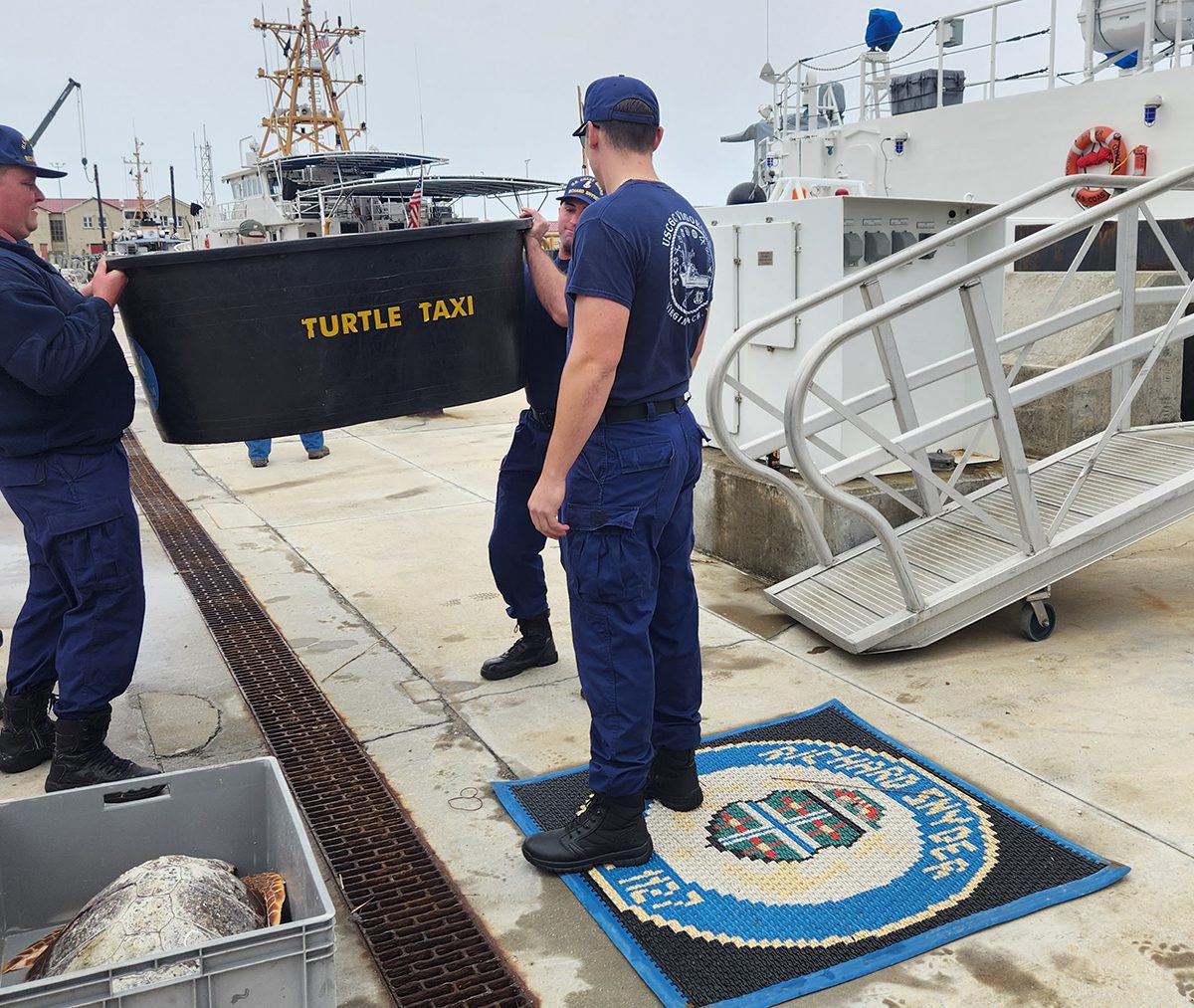 Rehabilitated cold-stunned sea turtles are loaded earlier this month aboard the cutter Richard Snyder at Coast Guard Station Fort Macon for release at sea. Photo: NC Aquariums