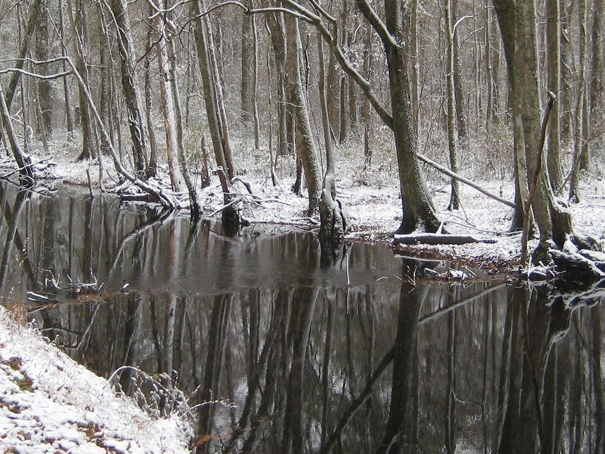 Jericho Ditch in the Great Dismal Swamp National Wildlife Refuge is shown in snow in this December 2010 USFWS photo.