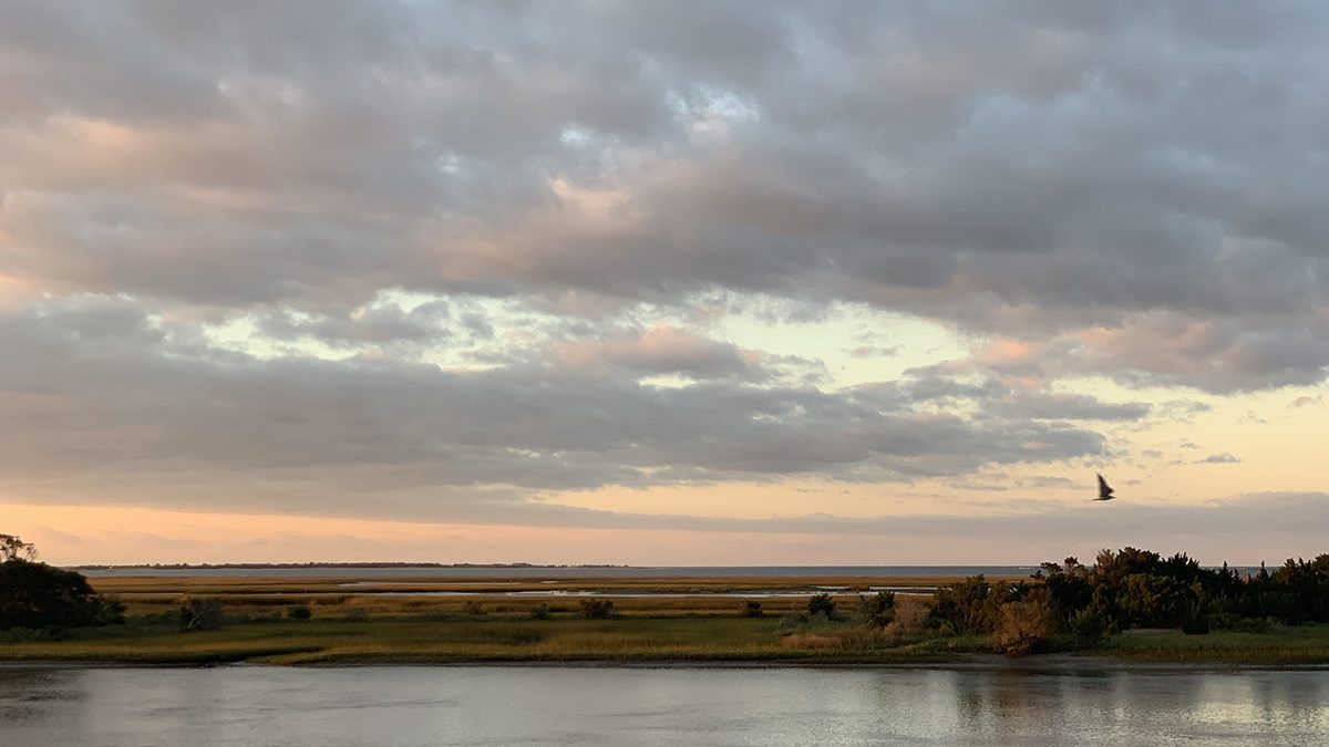 View of the Rachel Carson Reserve from the Beaufort waterfront. Photo: Jillian Daly