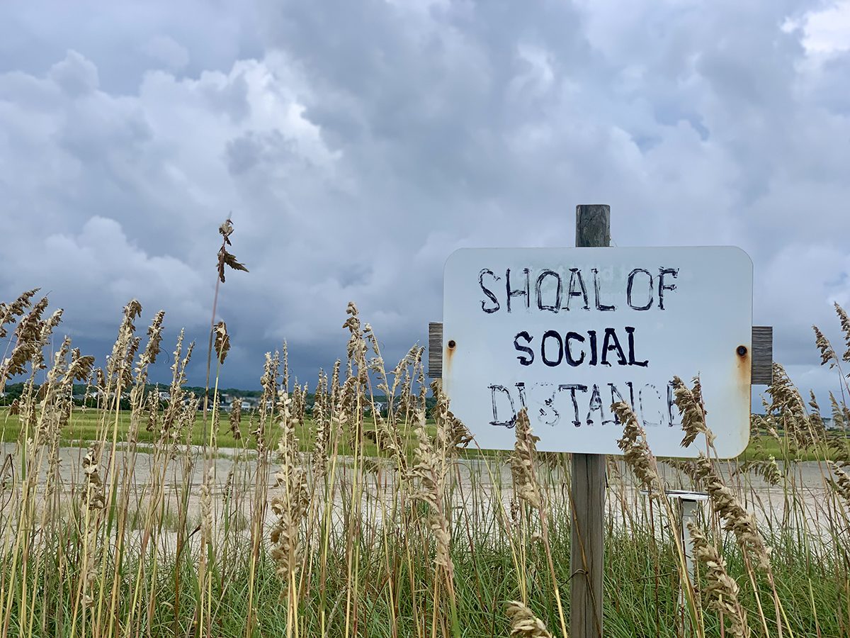 During the beginning of the pandemic, another paradise-seeker had revamped one of the “Protect the Wild Horses” signs. Photo: Jillian Daly