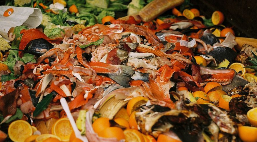 Food waste in a dumpster. Photo: Creative Commons