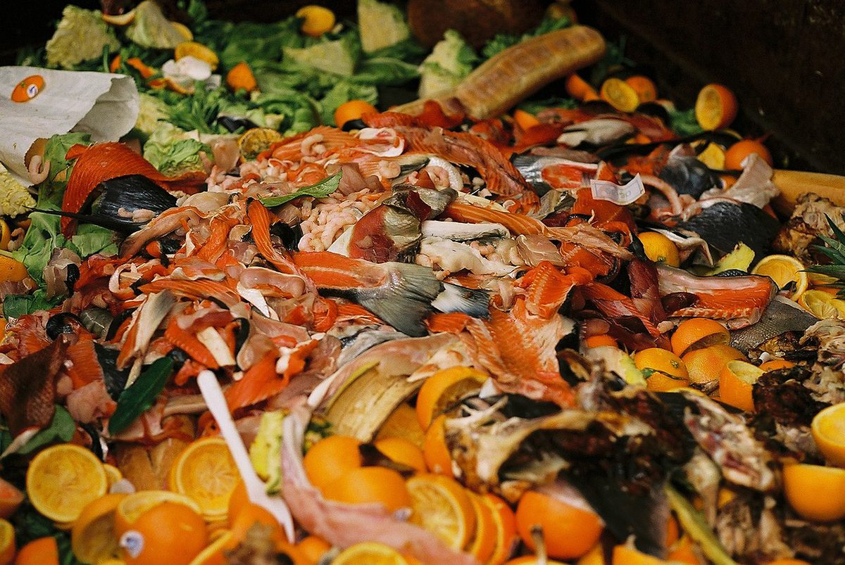 Food waste in a dumpster. Photo: Creative Commons