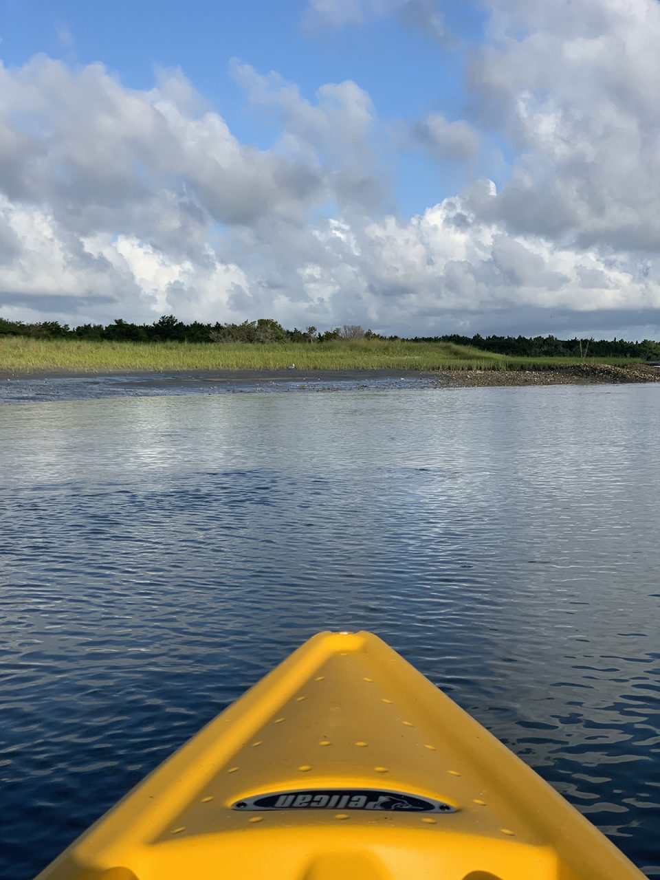 The minute my kayak hits the water I am headed less than a quarter mile, directly across the creek. Photo: Jillian Daly