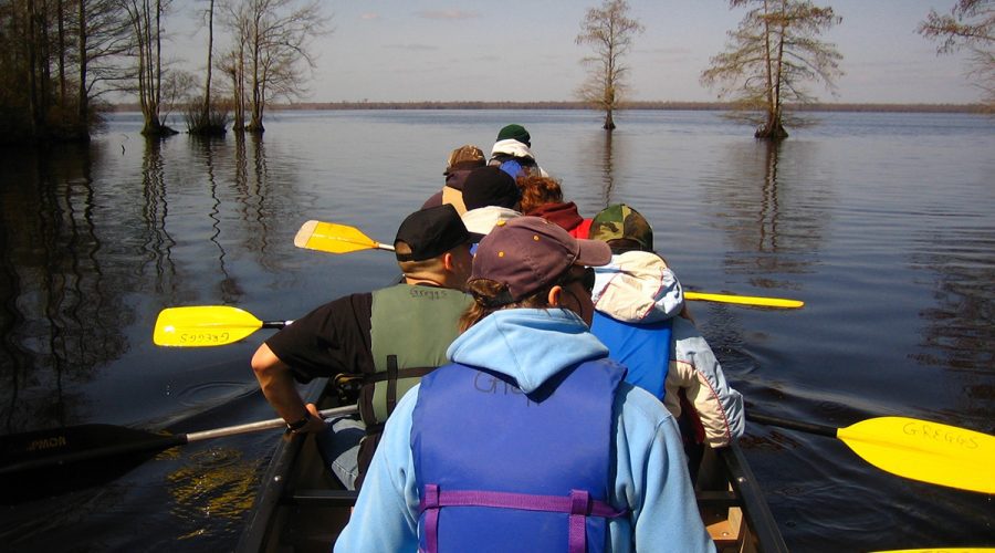 Paddlers take to the water in the Great Dismal Swamp National Wildlife Refuge. Photo: USFWS