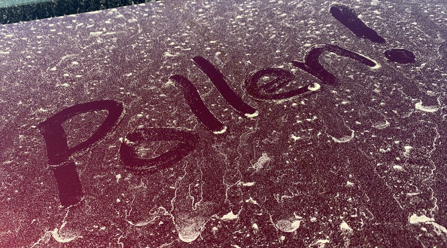 A car wash may constantly be a few minutes overdue this pollen season. Photo: Mark Hibbs