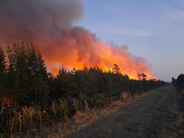 The fire burning on private and federal lands in Tyrrell County is shown here on Saturday morning. Photo: N.C. Forest Service