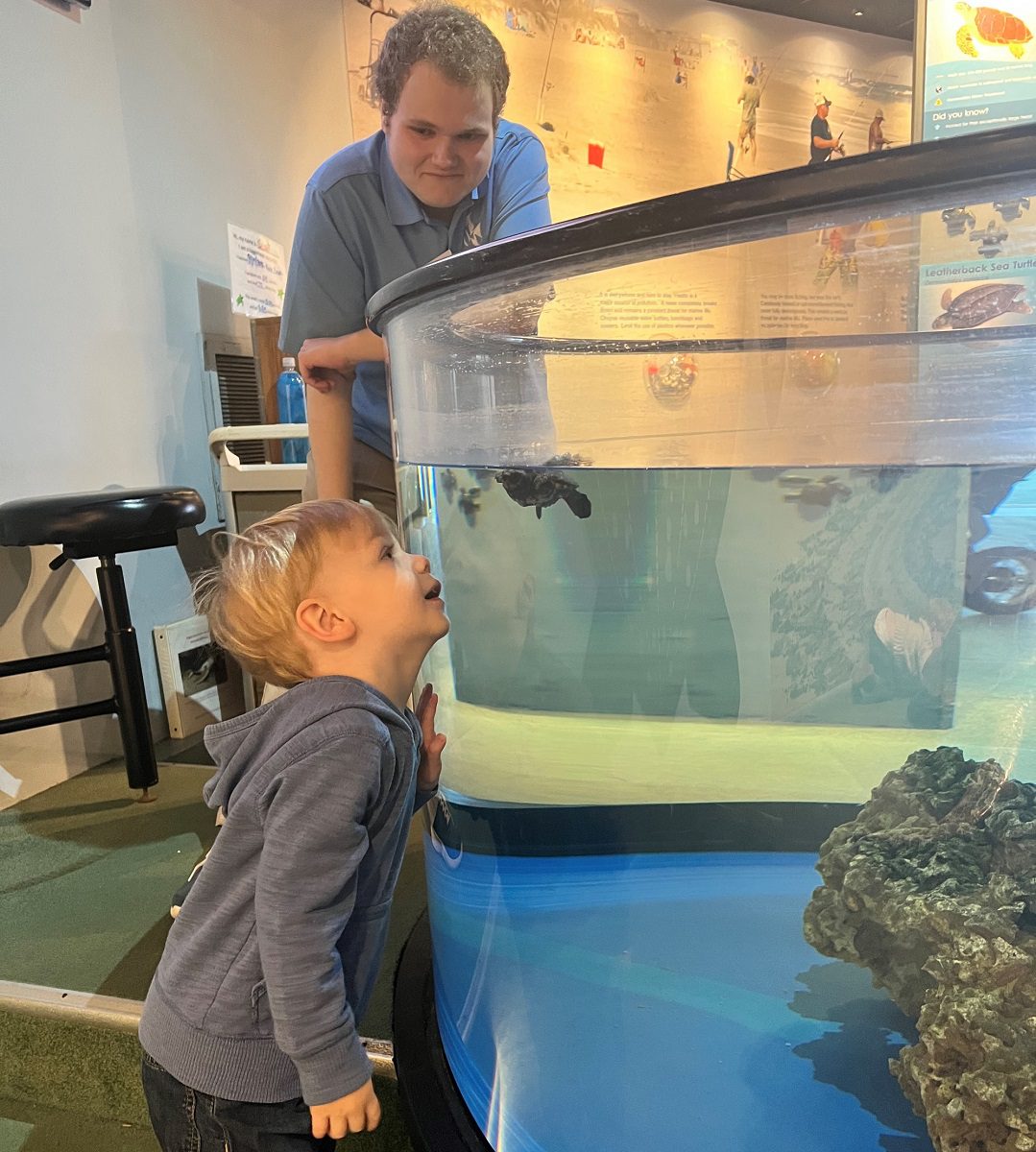 N.C. Aquarium at Fort Fisher is recruiting teen volunteers, ages 14 to 17, for the 2023 summer season. Photo: NC Aquariums