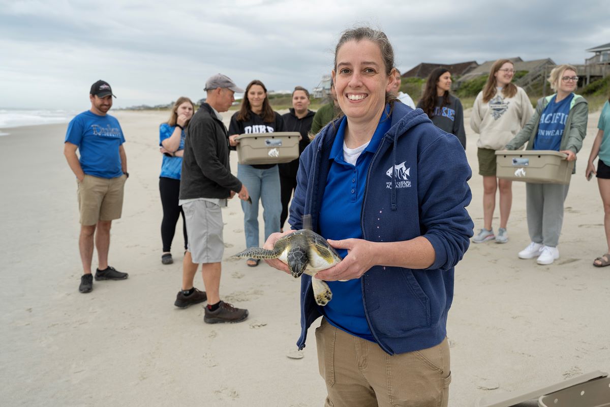 Photo: Michele Lamping, N.C. Aquarium at Pine Knoll Shores aquarist, holds one of the four green sea turtles that were released Thursday as students and teacher from Duke University Marine Lab look on. Photo: NCAPKS