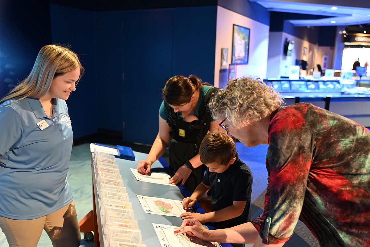 Photo: Aquarium teen volunteer Kaylee Whitley, left, and staff at the North Carolina Aquarium at Pine Knoll Shores plan to host another Carnival to Combat Climate Change where anyone can learn about and discuss climate issues. Photo: NC Aquariums