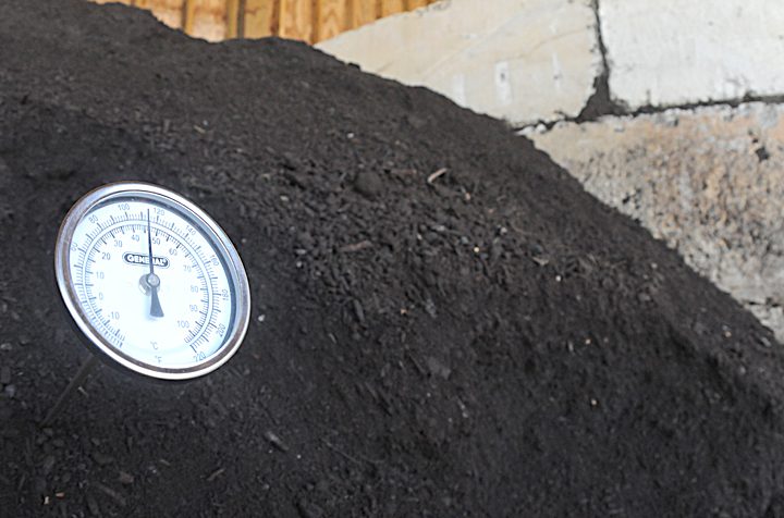 A thermometer indicates a reading of 112 degrees on a pile of fresh compost at the New Hanover County Department of Environmental Management's site near Wilmington. Photo: Mark Courtney