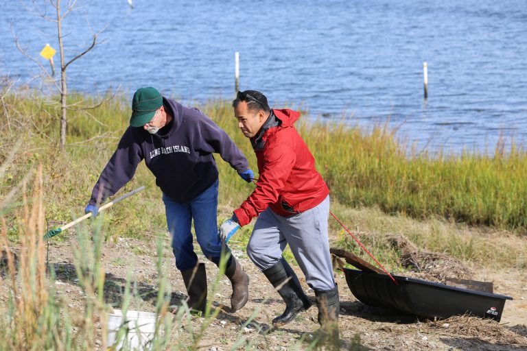 Volunteers remove debris from the shoreline. Photo: North Carolina Coastal Federation
