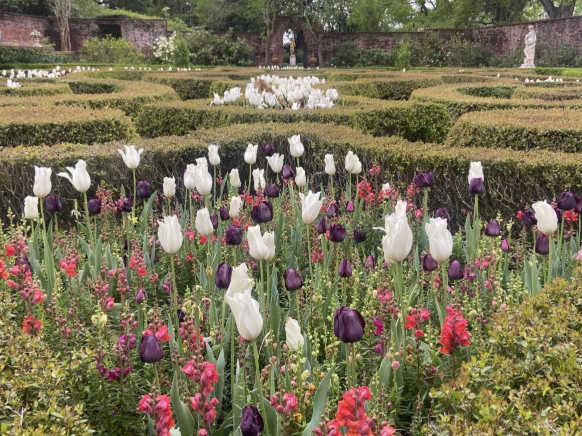 Garden Lovers' weekend is Friday through Sunday at Tryon Palace. Photo: Tryon Palace