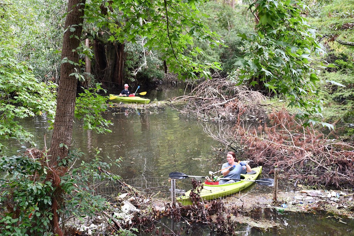 N.C. Aquarium at Fort Fisher and Cape Fear River Watch are recruiting volunteers for a cleanup Saturday in Wilmington.