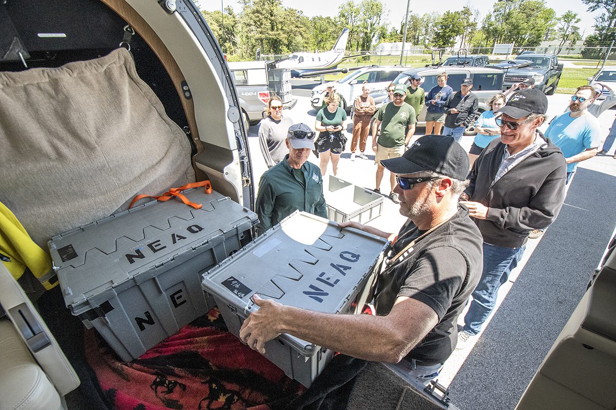 Pilot Carl Natter, unloads the cargo of rehabilitated cold-stunned loggerheads May 1 from a Turtles Fly Too flight from the Wonders of Wildlife National Museum and Aquarium in Springfield, Missouri, to Beaufort ahead of their release into the Atlantic Ocean. Photo: Dylan Ray