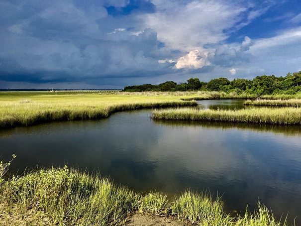 The plan aims to perpetuate the numerous benefits of salt marshes as the sea level rises and there are more intense storms caused by climate change. Photo: North Carolina Coastal Federation