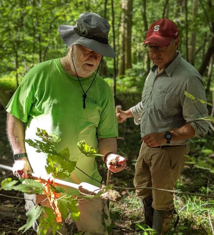 Rick Savage and Michael Burchell in the field. Photo: Tomas Reed/Carolina Wetlands Association 