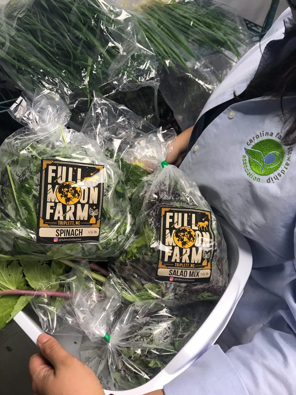 Kana Miller, Carolina Farm Stewardship Association's  food distribution coordinator, prepares bags of freshly harvested spinach from Full Moon Farm to be packed into FarmsSHARE orders at High Country Food Hub in Boone. Photo: CFSA