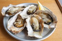 Oysters. Photo: CDC