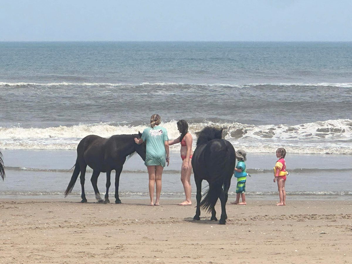 This moment of ill-advised human interaction was captured July 2 and shared with the Corolla Wild Horse Fund. 