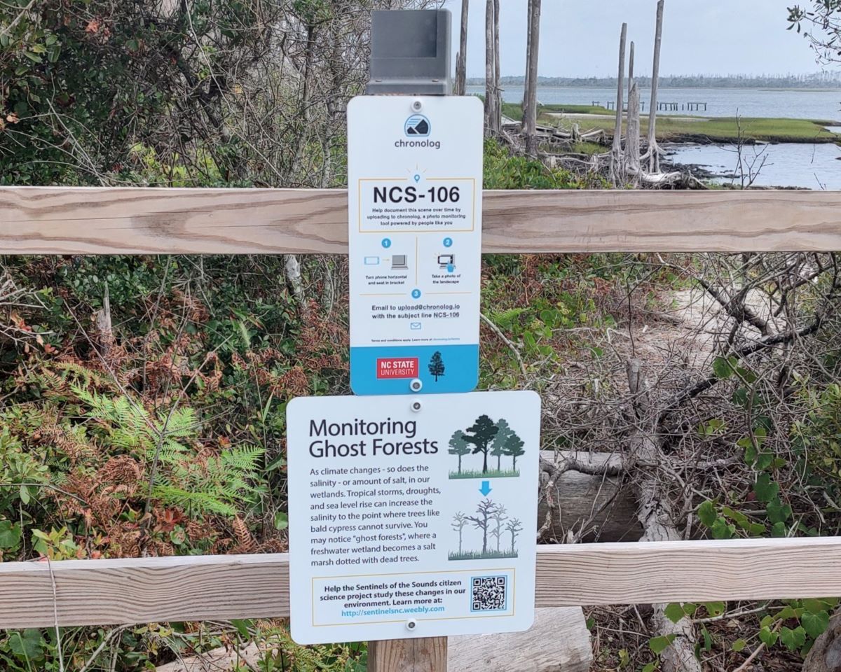 The Chronolog photo station is about a quarter mile down the Soundside Loop Trail at the Cape Lookout National Seashore visitor center. Photo: Jennifer Allen