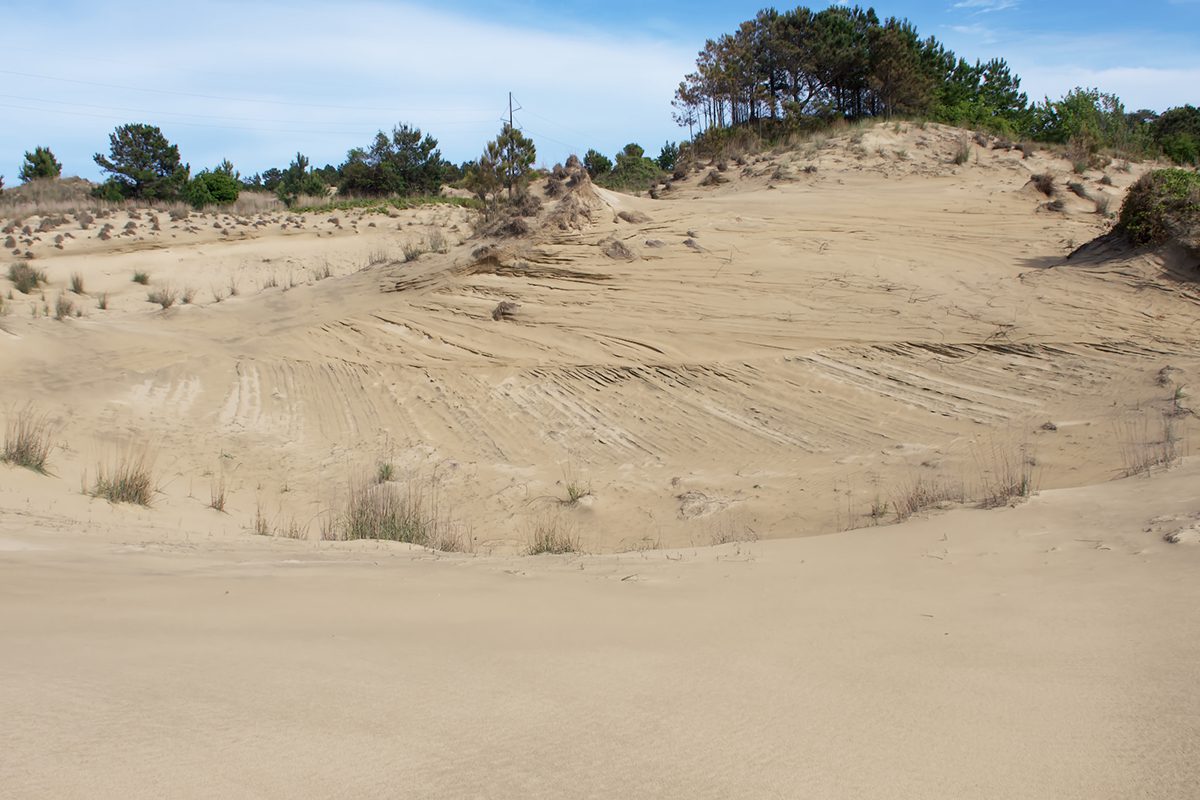 Mystery 'HELP' message appears in the sand at West Coast lake