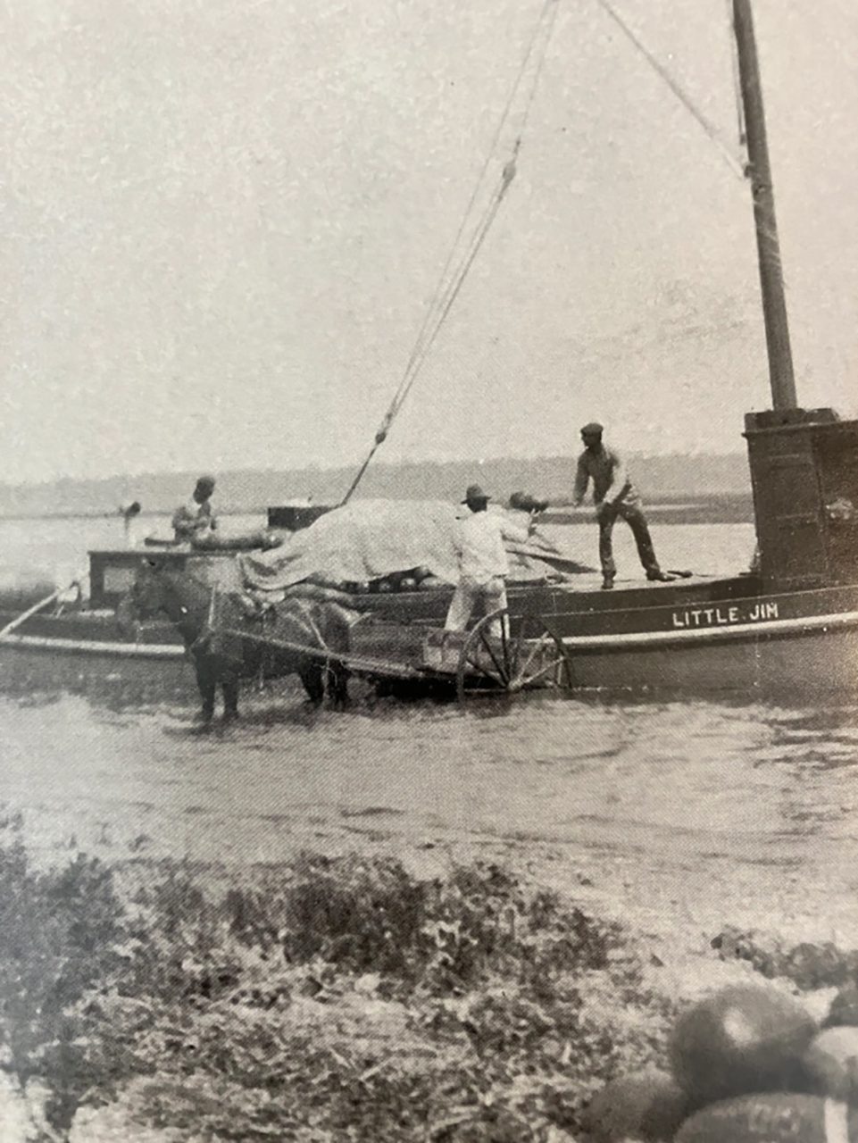 The freight boat Little Jim on Bogue Sound, 1907. Photo courtesy of the State Archives of North Carolina