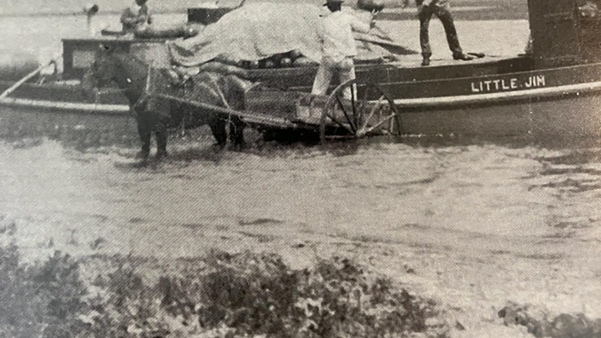 The freight boat Little Jim on Bogue Sound, 1907. Photo courtesy of the State Archives of North Carolina