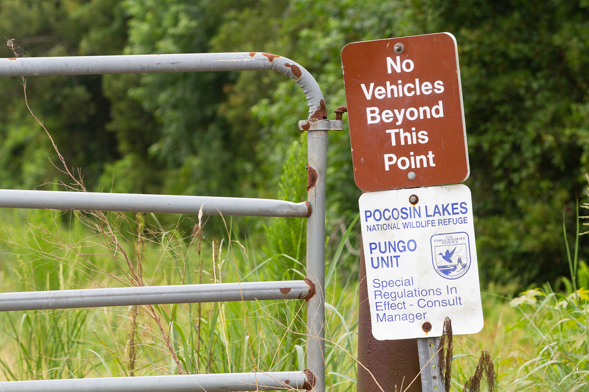 Signs announce a road closure on the Pungo Unit of Pocosin Lakes National Wildlife Refuge. Photo: Corinne Saunders