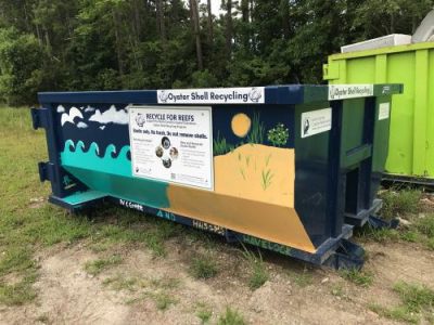 Havelock High School students painted oyster murals on the dumpster for oyster collected that located at three Carteret County convenience sites.