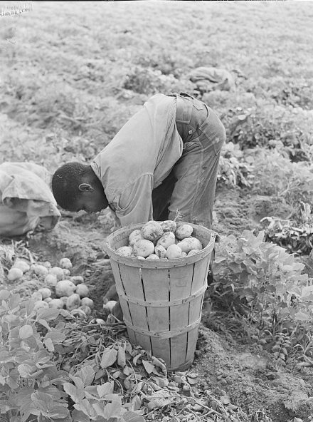 migrant farm workers in the 1930s