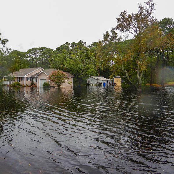 Yards along Seashore Drive in Atlantic in Carteret County are flooded Thursday from the effects of Tropical Storm Idalia. Flooding of streets, yards results in polluted runoff into waterways. Photo: Dylan Ray
