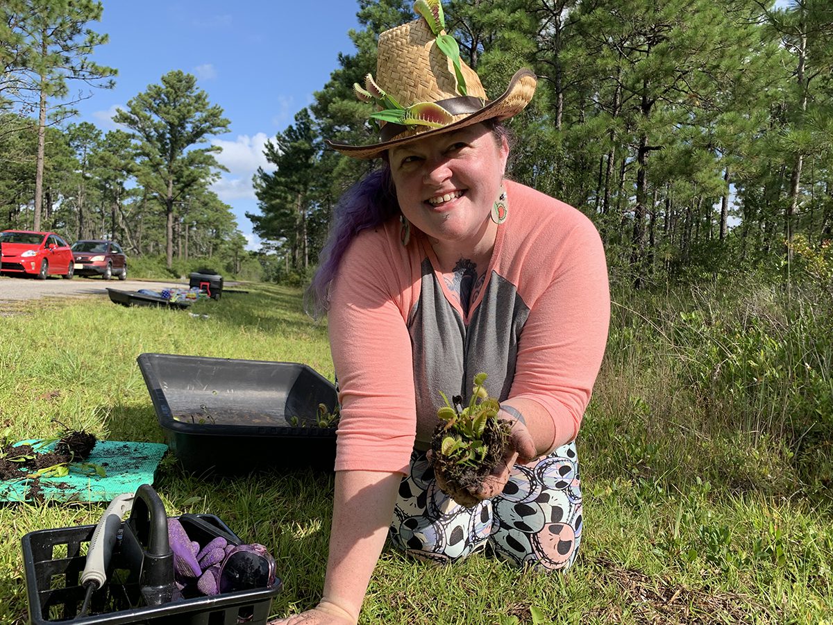 Boiling Spring Lakes resident Amber Townsend holds one of hundreds of Venus flytraps she and other volunteers removed from a roadside ditch to replant in an area safe for the carnivorous plants. Photo: Trista Talton