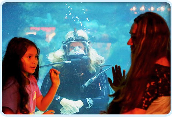 The North Carolina Aquarium at Fort Fisher is hosting its 2023 Femme in STEM event Saturday, Sept. 16. Photo: NC Aquariums